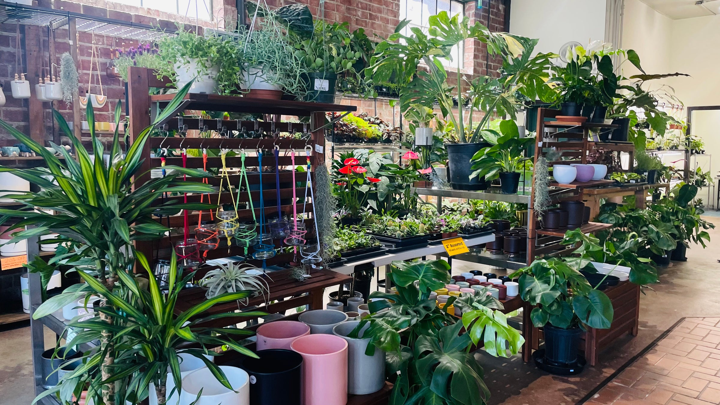 Discover our Upstairs! Houseplants, Homestead supplies, Gifts and More! -  Eastside Urban Farm and Garden Discover our Upstairs! Houseplants,  Homestead Supplies, Gifts and More