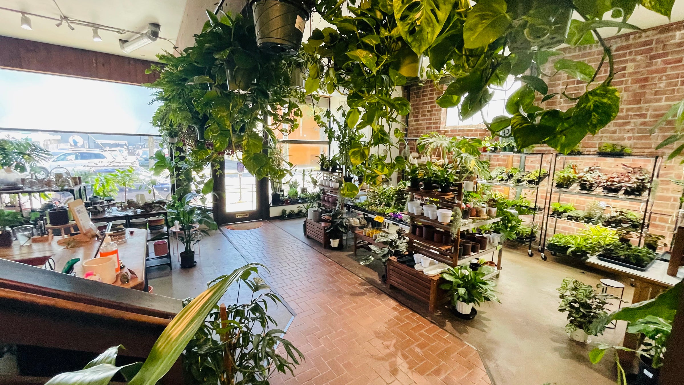 Discover our Upstairs! Houseplants, Homestead supplies, Gifts and More! -  Eastside Urban Farm and Garden Discover our Upstairs! Houseplants,  Homestead Supplies, Gifts and More